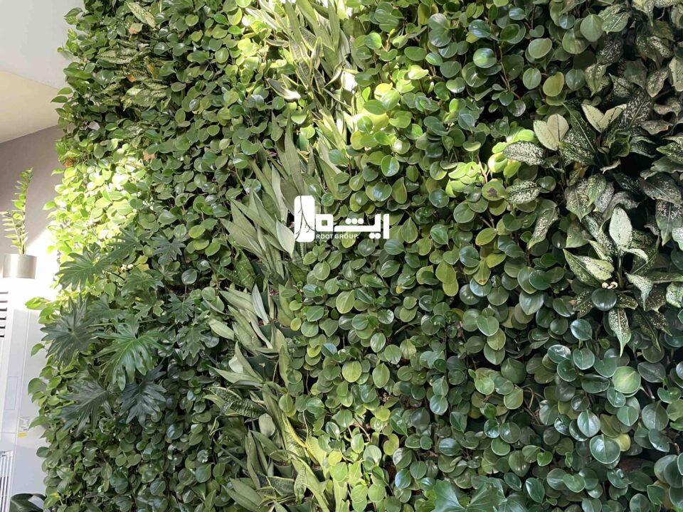 طراحی و اجرای دیوار سبز