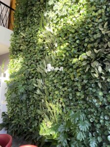 بالکافه خاکشناسی شیراز