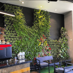 شیراز مال گروه ریشه