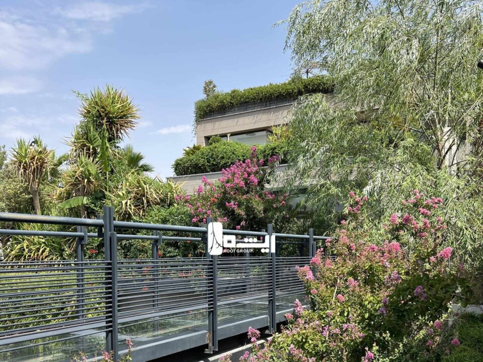 پروژه سایه های سبز صدرا - گروه ریشه