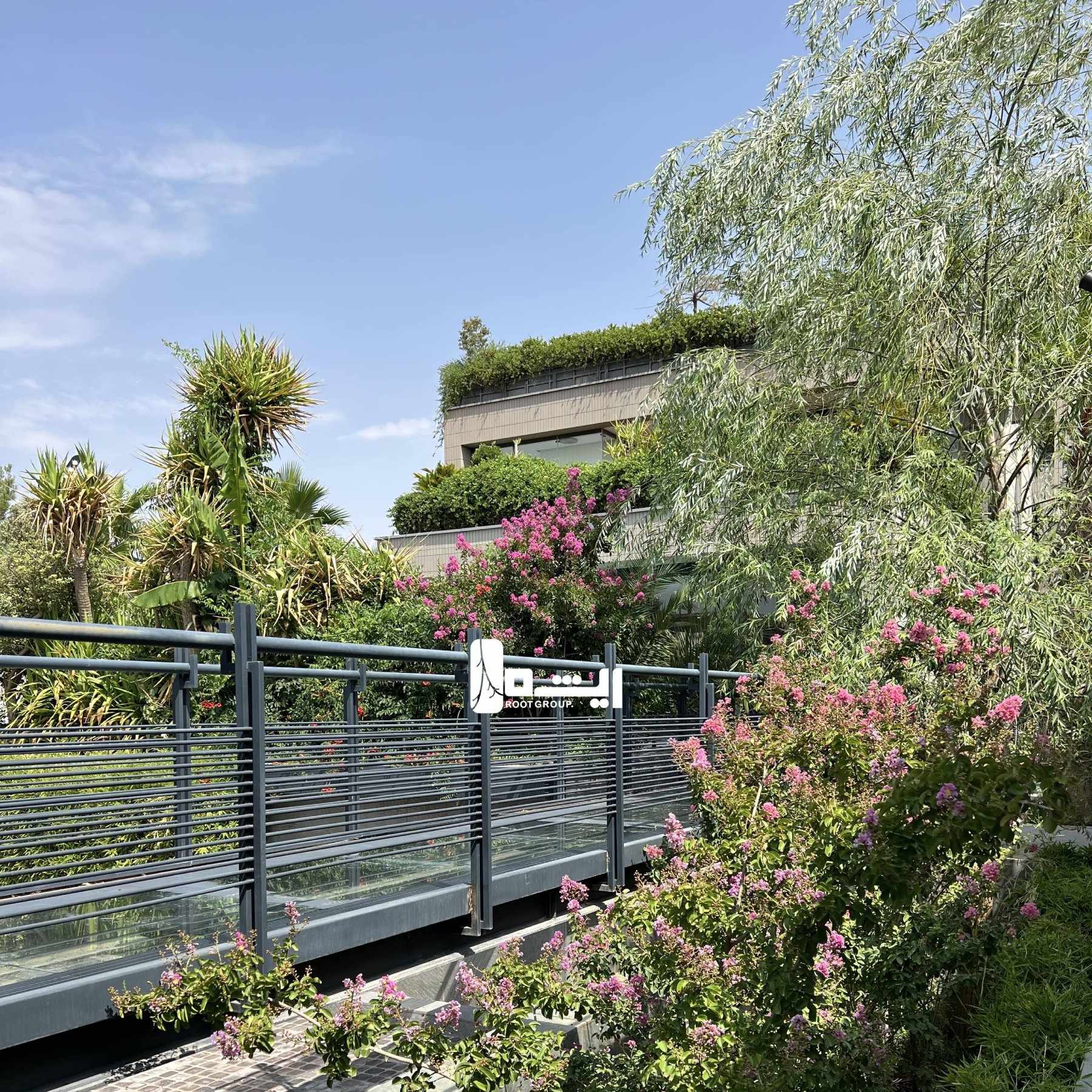 پروژه سایه های سبز صدرا - گروه ریشه