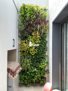 دیوار سبز فضای کوچک بالکت و تراس گروه ریشه در شیراز و ایران