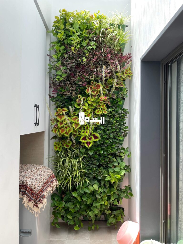 دیوار سبز فضای کوچک بالکت و تراس گروه ریشه در شیراز و ایران